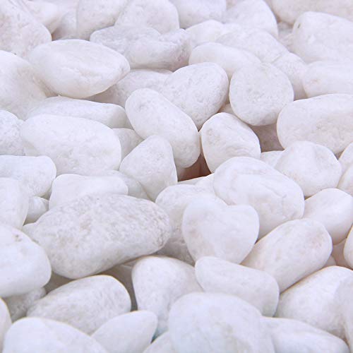Rocks for Plants, Succulents, Fairy Garden Big 3lb Bulk Bag â€“ 10-15mm Tumbled Crushed Natural White Stone Pebbles for Decorating Bonsai Trees, Zen Garden, Succulent Plants