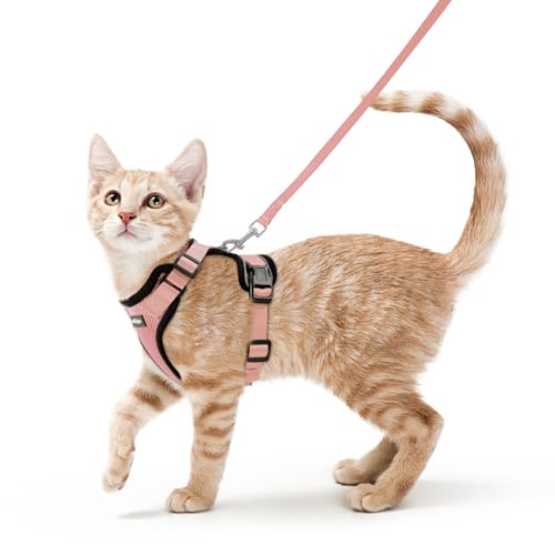 Image of rabbitgoo Cat Harness and Leash Set, Escape Proof Vest, Light Salmon Pink | Soft Breathable Mesh, Easy Adjustable Fit, Snap Buckles, Sturdy Clip, Reflective Strips, for Small & Average Cats Walks, Xs