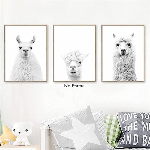 Alpaca Canvas Wall Art Llama Artwork Animal Black And White Print Llama Nursery Wall Art Animal Portraits Wall Decor Cute Nursery Pictures Funny Llama Poster Farm Animal Painting 12X16Inchx3 No Frame #TOP4