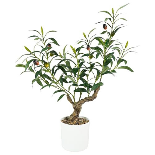 Caxchiling Fake Olive Plants 2FT, Artificial Small Olive Tree Indoor, Faux Potted Plants Decor for Tabletop, Desk, Shelf, Office, Kitchen, Living Room, Bedroom, Bathroom