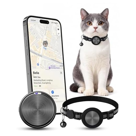 GPS Tracker für Katzen mit Halsband