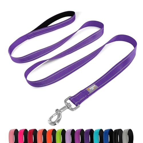 PenSeepet Dog Leash 6 FT Padded Handle Nylon Reflective Dogs Leashes for Medium Dogs Purple