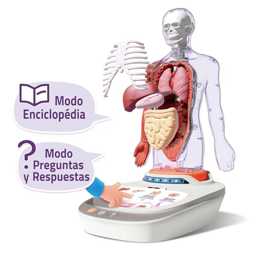 Cuerpo Humano Vozpedia Interactiva aprende biología fácil sin memorizar 6