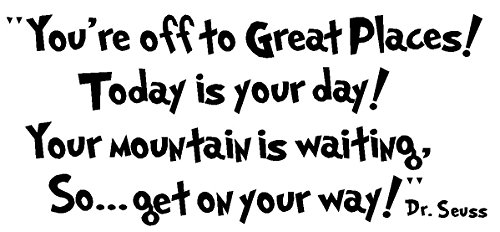 You're Off to Great Places!Today is Your Day!Your Moutain is Waiting,so...get on Your Way!dr.Seuss Vinyl Wall Decal,Art Quotes 10