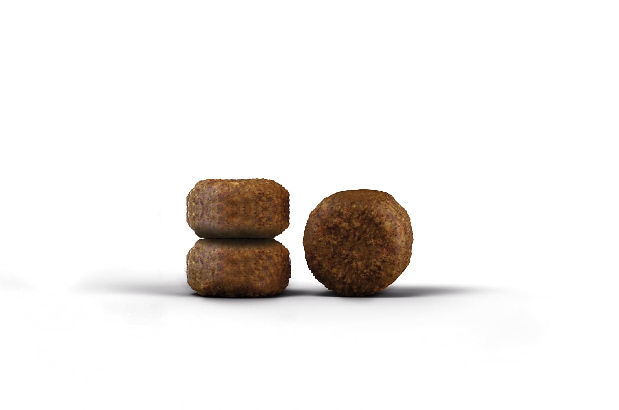 JOSERA Senior (1 x 10 kg) | Senior | Pienso seco Gatos Mayores o con insuficiencia renal | Aves y arroz | Fácil de digerir | Sin Cereales | Comida para Gatos | Pack 1
