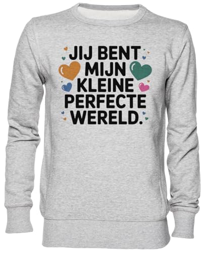 Sweat-shirt gris en jersey idéal pour vos sorties urbaines ou soirées fraîches
