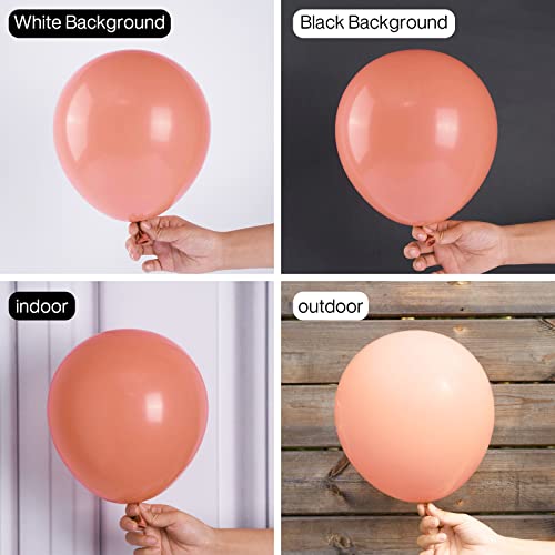 Image of PartyWoo Dusty Pink Balloons 50pcs Dusty Rose Boho Netural Pink Color