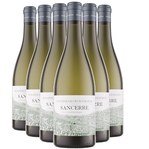 Sancerre La Côte des Monts Damnés 2022 Orgánico – Sauvignon Blanc del Valle del Loira Sancerre La Côte des Monts Damnés 2022 Orgánico – Sauvignon Blanc del Valle del Loira