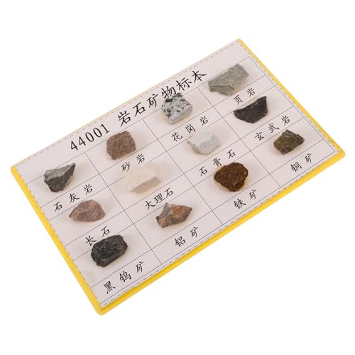 COSMEVIVI 12 Pcs Plastic Rock Specimen for Teaching Display Mineral Rock Specimen Mineral Rock Rock Collection Rock Specimen for Collection