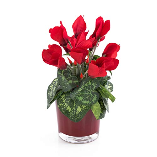 Artplants.de Set di 2 x Ciclamino Artificiale