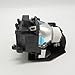 CTLAMP NP23LP/100013284 Replacement Projector Lamp NP23LP 100013284 Bulb with Housing Compatible with NEC NP-P401W NP-P451W NP-P451X NP-P501X NP-P501XG NP-PE501X PE501X