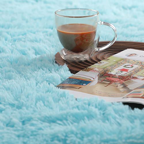 image for PAGISOFE Fluffy Soft Area Rug, 4x6, Shaggy Rug for Girls Boys Bedroom,