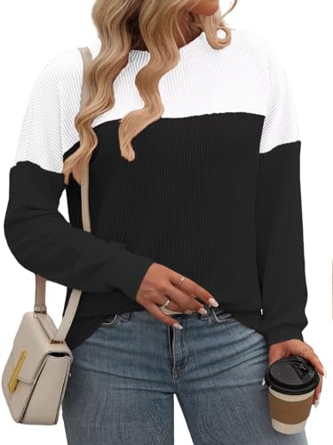 Image of DOLNINE Plus Size Tops for Women Color Block Ribbed Knit Long Sleeve Tunic