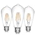LED Edison Bulb,Antique 40W Vintage Edison Bulb,E26 Light Bulb Non Dimmable Led Bulb 450 Lumens 2700K,Pack of 3