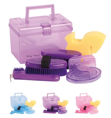 netproshop Mini Gift Box Putzbox mit verschiedenen Bürsten in...