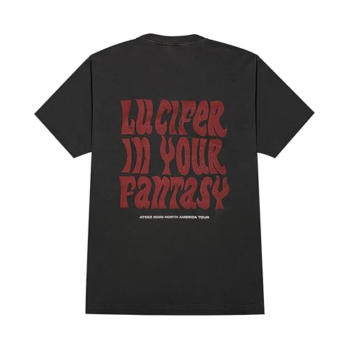 Official Tour Merch Flame T-Shirt2