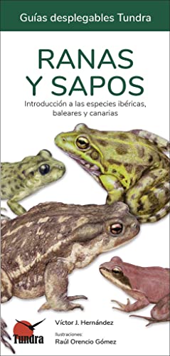 TUNDRA Ranas y sapos-Guias desplegables, Libro, Varios, Una Talla TUNDRA Ranas y sapos-Guias desplegables, Libro, Varios, Una Talla