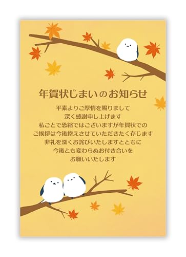 Amazon | 年賀状じまい ハガキ 10枚【年内にお知らせ】私製はがき