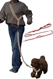 [LaLUCA GOODS] 犬 ショルダーリード 反射ライン 小型犬 中型犬 大型犬 アドバンスモア 02モデル ハンズフリー レッド Bセット Sサイズ