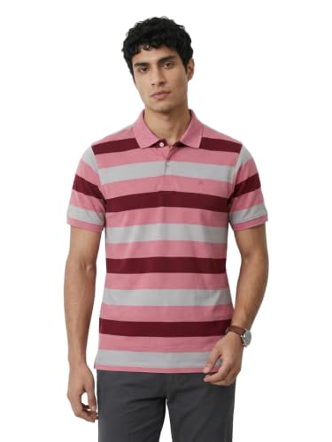 Image of Raymond Men Modern Fit Stripe Pattern Pure Cotton Polo Neck Half Sleeve Casual T-Shirt