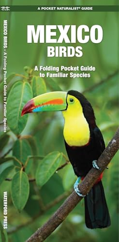Mexico Birds: A Folding Pocket Guide To Familiar Species (A Pocket Naturalist Guide) (Pocket Naturalist Guide Series)