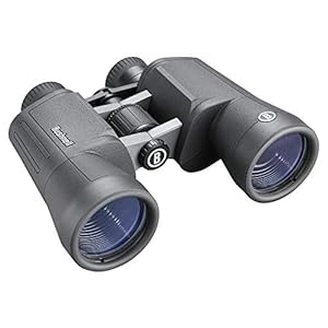Bushnell PowerView 2 Binoculars, High-Definition Binoculars with Multi-Coated Lenses, Durable Aluminum Alloy Chassis, Wide Field of View, Ideal for Wildlife Observation, Hiking and Sporting Events