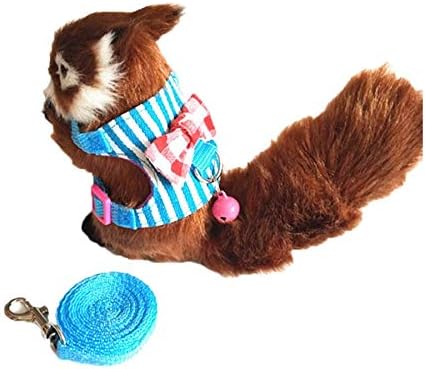 Stock Show Small Animal Outdoor Walking Vest Harness and Leash Set with Cute Bowknot and Clear Bell Decor Chest Strap Harness for…