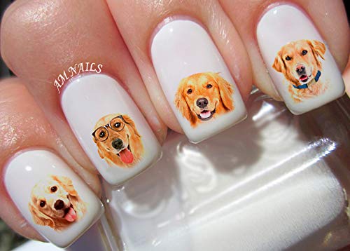 Golden Retriever Dog Water Nail Art Transfers Stickers Decals -