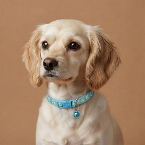 Image of Adjustable Dog & Cat Collar 10mm | Durable, Comfortable & Stylish Pet Collar | Ideal for Small, Medium & Large Pets- Color May Vary (2, New Printed Collar)