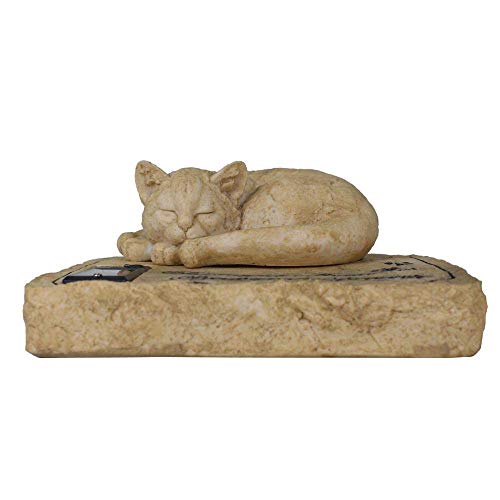 Marytumm Solar Light Cat Memorial Stone, Cat Grave Markers, Cat Headstone, Cat Memorial Plague, Cat Loss Gift Garden Decor #TOP4
