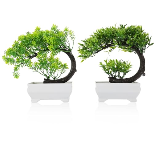 lurrose 2 V~[VlH~ AtFCNO[ p^ϗtAfR[V yʃeiXȒP CeA