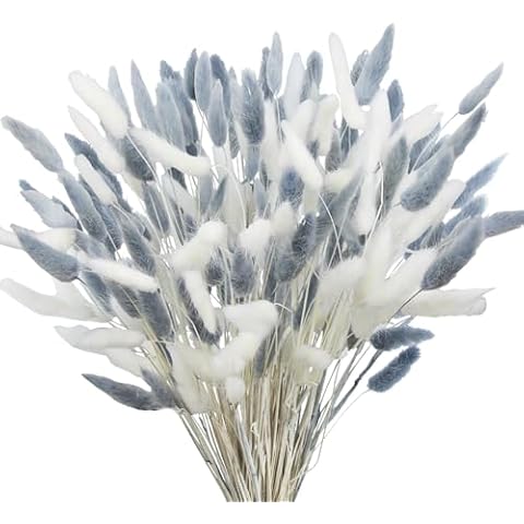 CITYES 120Pcs Dried Bunny Tails Cover