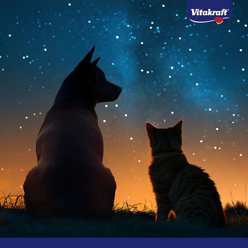 Vitakraft Galaxy Garden Raupe, Spielzeug für Hunde, Robustes Hundespielzeug, mit Quietscher und Noppenbällen (1 Stück)