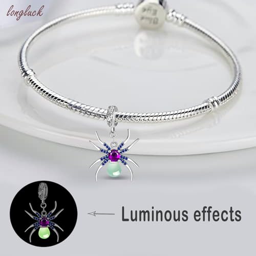 925 Sterling Silver Charms for Bracelets Necklaces Dangle Pendant With 5A Cubic Zirconias Bead Charm for Women DIY Jewelry2