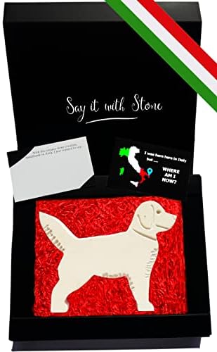 Stone Labrador Handmade in Italy - Contains Fossil Fragments - Symbol of Unconditional Love, Devotion, Friendship, Protection&Loyalty - Gift Box & Blank Message Card Incl - Gifts Her Him