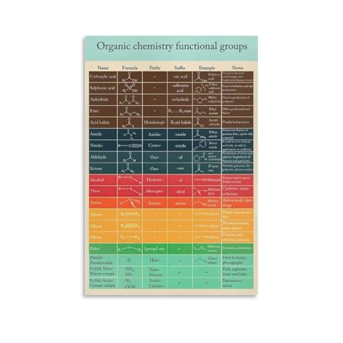 Organic Chemistry Poster Study Guide, 8x12