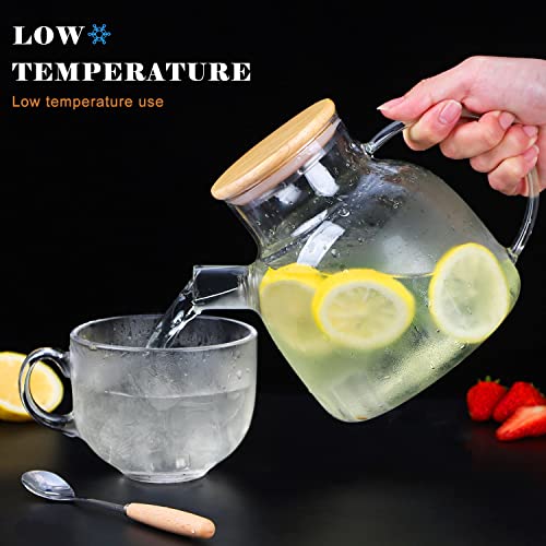 Théière pour feuilles en vrac en verre résistant pour eau bouillante