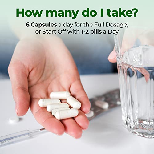 Ceylon Insulin Plant Plus Capsules - All Natural, Costus Igneus Powder Combined With Ceylon Cinnamon For Improved Blood Sugar Management - Vegan, Gluten Free, Non-Gmo Supplement - 360 Capsules #TOP3