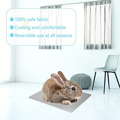 Hileyu Kühlmatte für Kleintiere Kaninchen Meerschweinchen Hamster Kühlkissen Schlafbetten für Kleintier Welpe Katze Hase (30 * 20cm/11.8 * 7.8in)