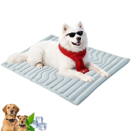 Neksong Dr Pfoten Pfotenchill Innovative Kühlmatte Für Haustiere sicher Und Bequem Speziell Für Ihren Geliebten Hund Entwickelt (M-91 * 58 cm Hellblau)