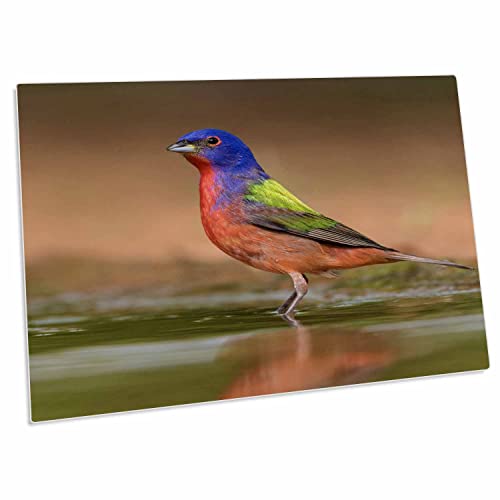 Desk Pad grande 58.4x40.6 cm con base antideslizante de goma miniatura 1