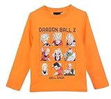 Dragon Ball Z