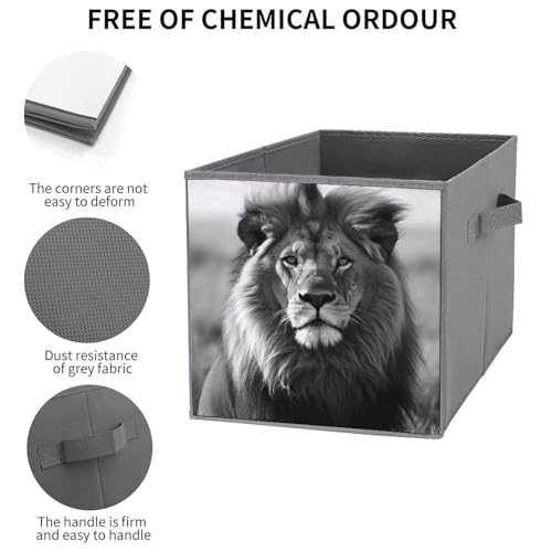 Boîte de rangement pliable durable à poignées pour linge et chaussettes