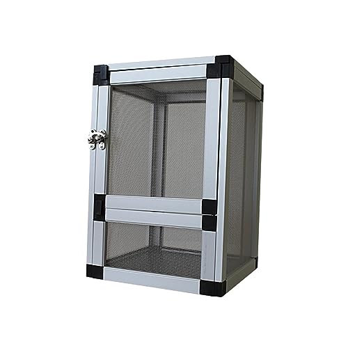 ঒��ރP�[�W ���甠 �� �N�� �A�� �y�b�g ঒��� �����n �₢