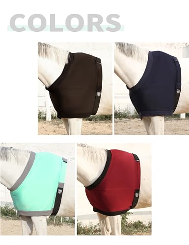 Protector de pecho para caballo transpirable de verano L menta 7