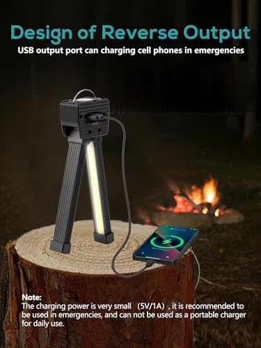 Image of Gym Lamp, Portable Gym Lighting for Posing, Magnetic Work Light Rechargeable, Gift for Men /Women, 180 Rotate Foldable with Hang Hook Camping Lamp, USB Power Bank LED Handheld Flashlight-Black
