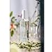 Provence Sante Eau de Toilette Spray - Luxury Long-Lasting Fragrance - Vervain Scent - Elegant Perfume Gift - Made in France - 3.5 Oz