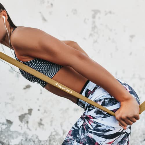 Image of WODFitters Pro Series Pull-Up Assistance Bands - Premium Resistance Loop Bands for Assisted Pull Ups, Muscle Ups, Strength Training & Mobility - Durable Bands for Functional Fitness