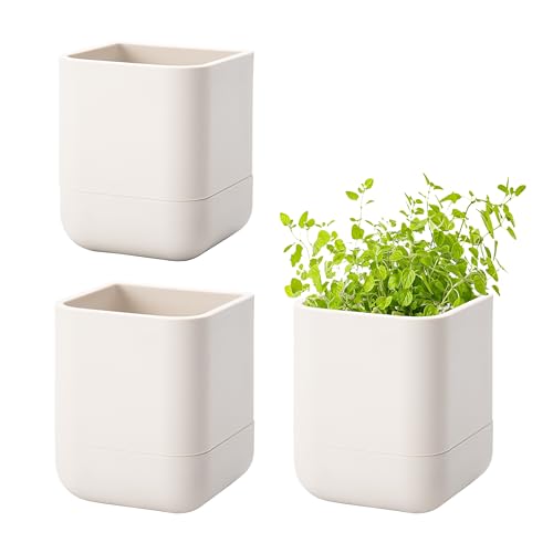 Phoenix Vine 3.5 Inch Wall Mounted Self-Watering Planter Pot for Indoor Houseplants and Herbs | Hanging Planter for Window Sills, Bathroom Walls, Home & Office Décor, Oatmeal, Set of 3, 01-A-G-3