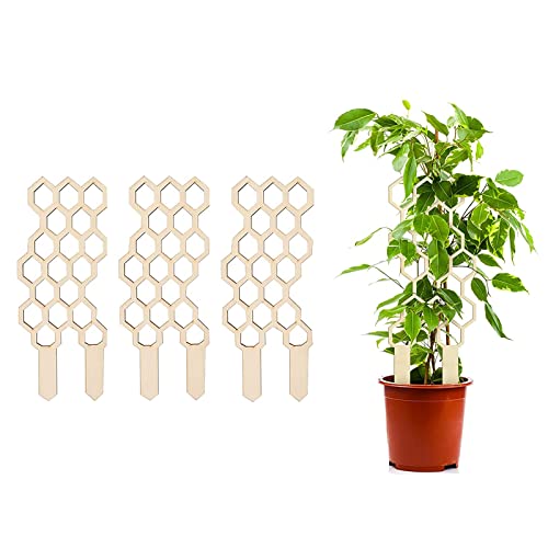 Rankhilfen Für Kletterpflanzen, 3 Stück Rankgitter Garten Pflanzenstütze Holz Pflanzenspalier, Für Zimmerpflanzen Mini Kletterpflanzen Blumentopf Topfpflanzen (Hexagon) Cover